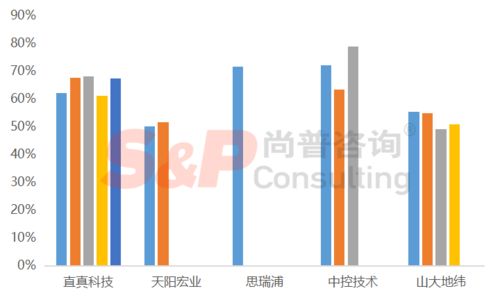 軟件和信息技術(shù)服務(wù)業(yè)企業(yè)IPO募投項(xiàng)目設(shè)計(jì)與審核要點(diǎn)